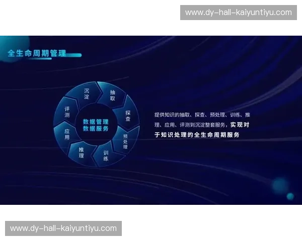 开云加速通道：开启未来商务高效新纪元